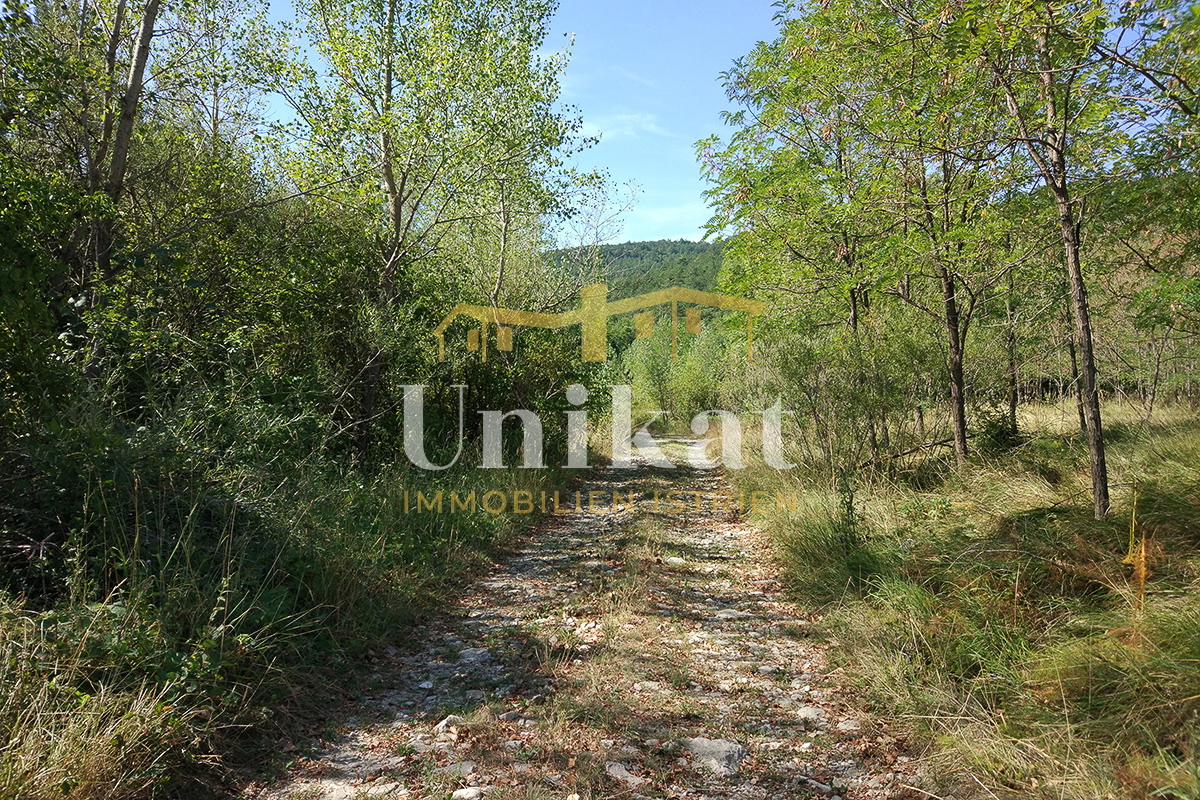 img-property